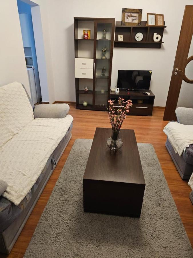 Apartament Gheorghe Lazar Nest Timişoara